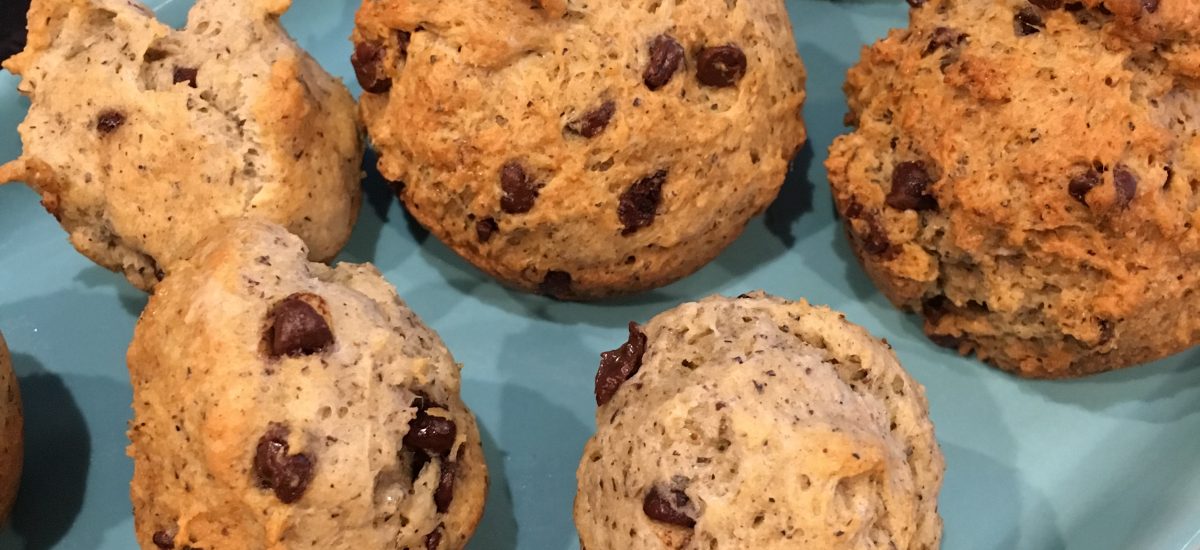 Gluten Free Chocolate Chip Muffins