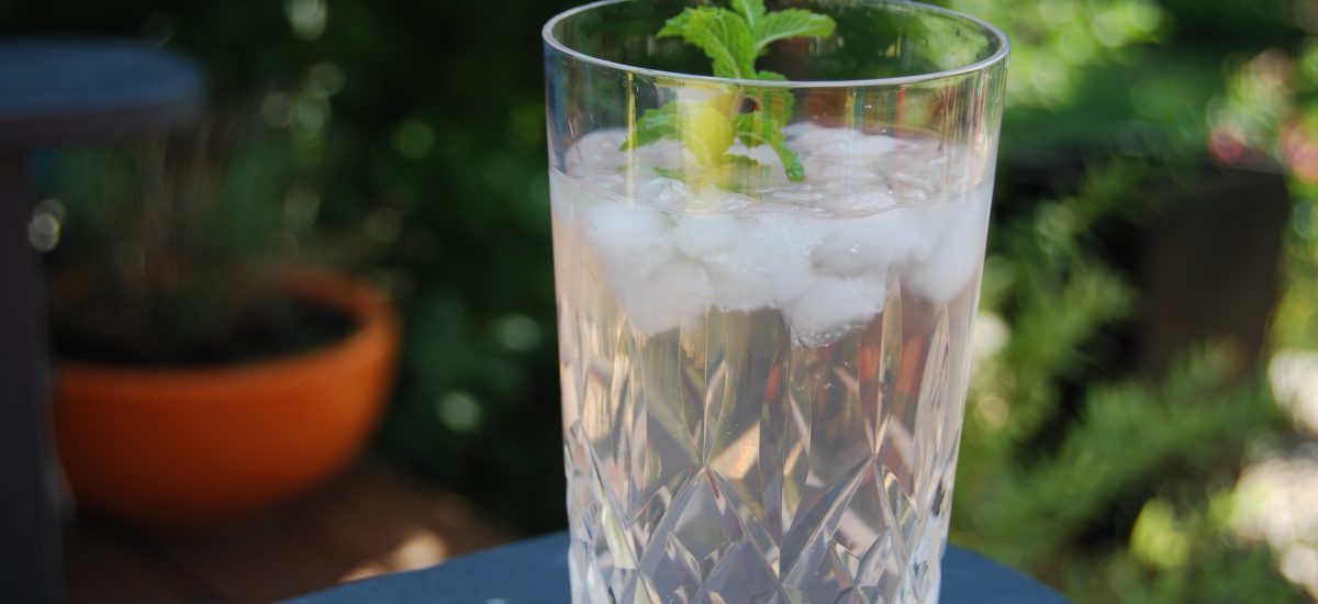 Grapefruit Vodka Cocktail