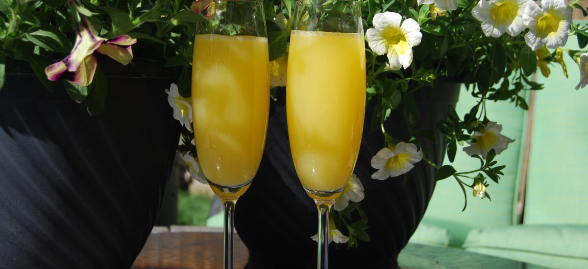 Mimosa’s