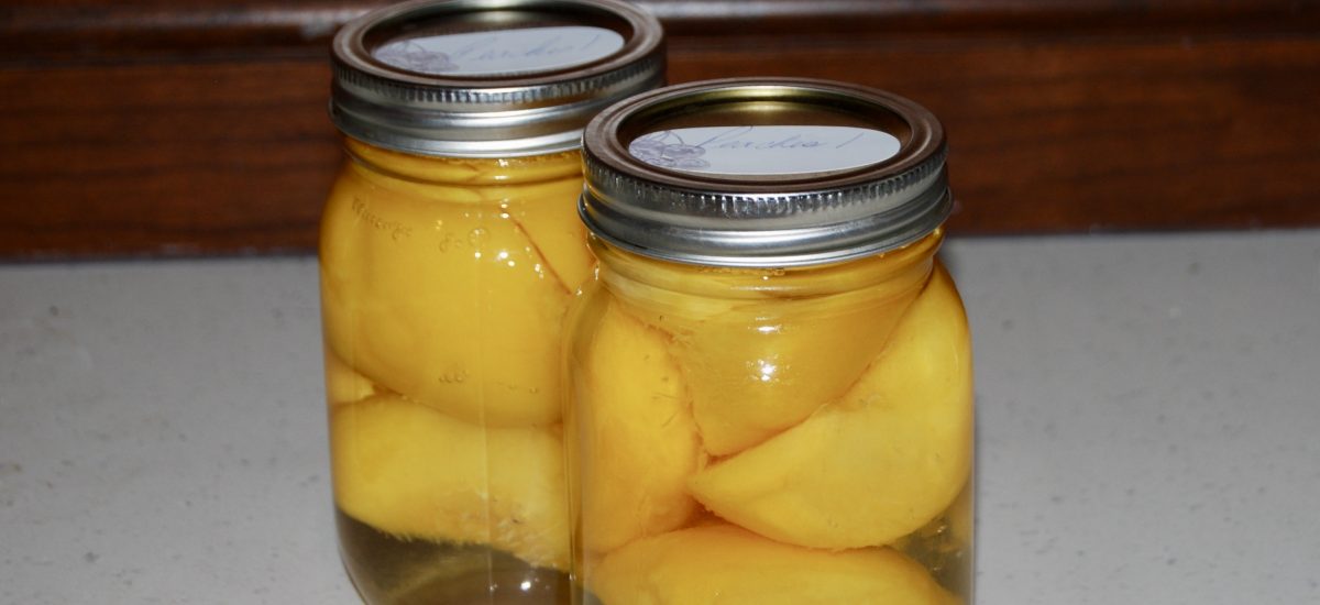 Canned Peaches